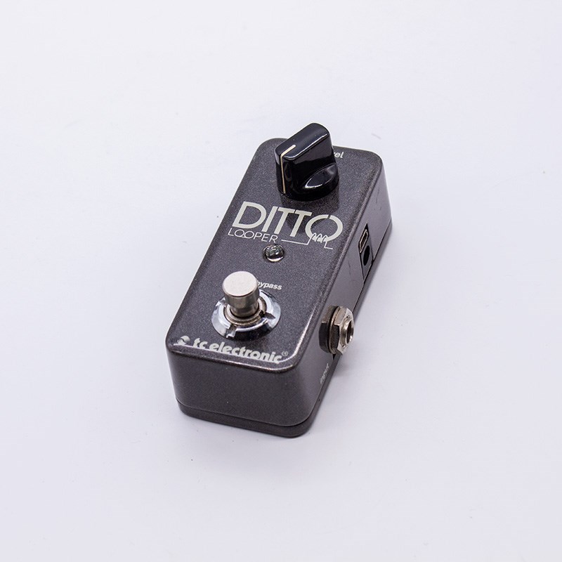 tc electronic DITTO LOOPERの画像